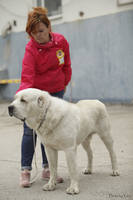 VFL.RU - ваш фотохостинг