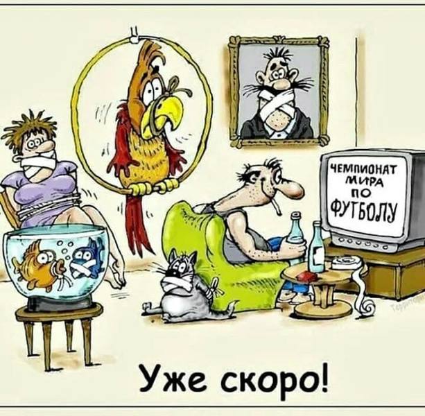 22077078_m.jpg