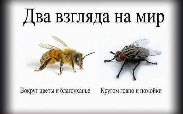 22124537_m.jpg