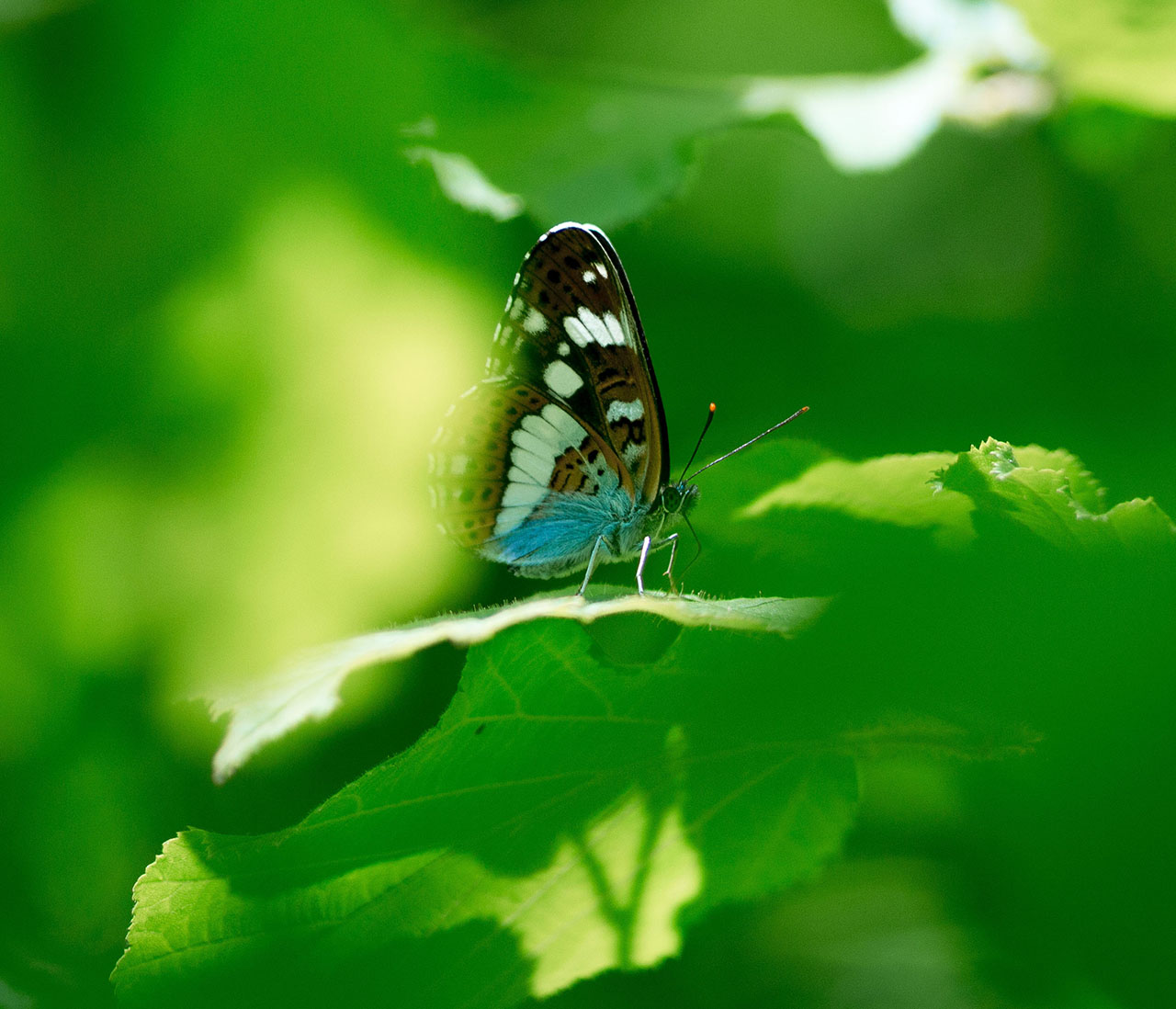 IMG 4460 1 IMG 4460 1