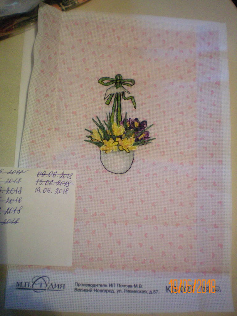 первоцвет 3-3