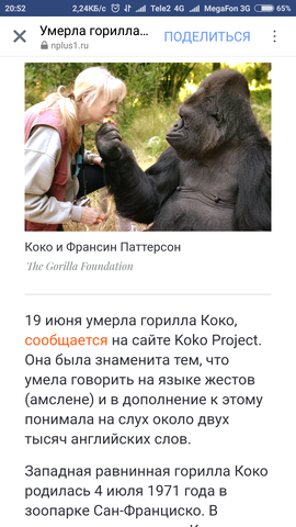 22201099_m.png
