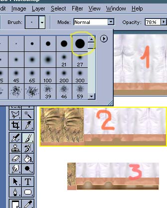 22239720.jpg