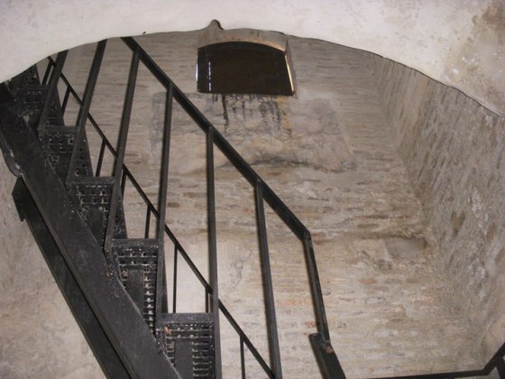 Galjibe del rey Escalera