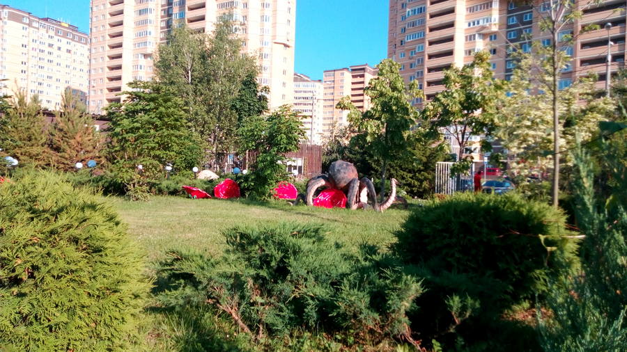 Дон Давид Дон Давид