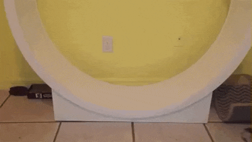 22343955.gif