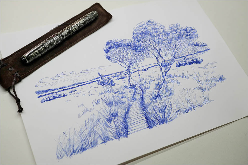 Edacoto 04 cross-striped