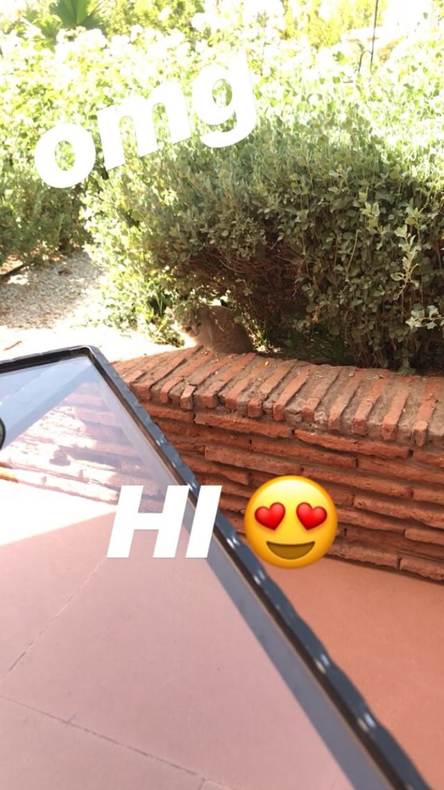 Bill's IG-Story #1 (09.07.18, Marrakech, Morocco)