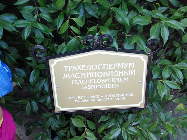 22418974_m.jpg