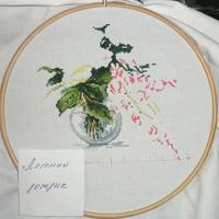 11.07.18-жёлтые розы