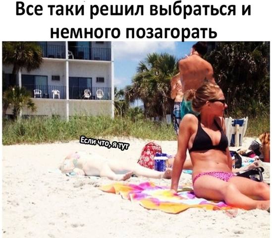 22488866_m.jpg