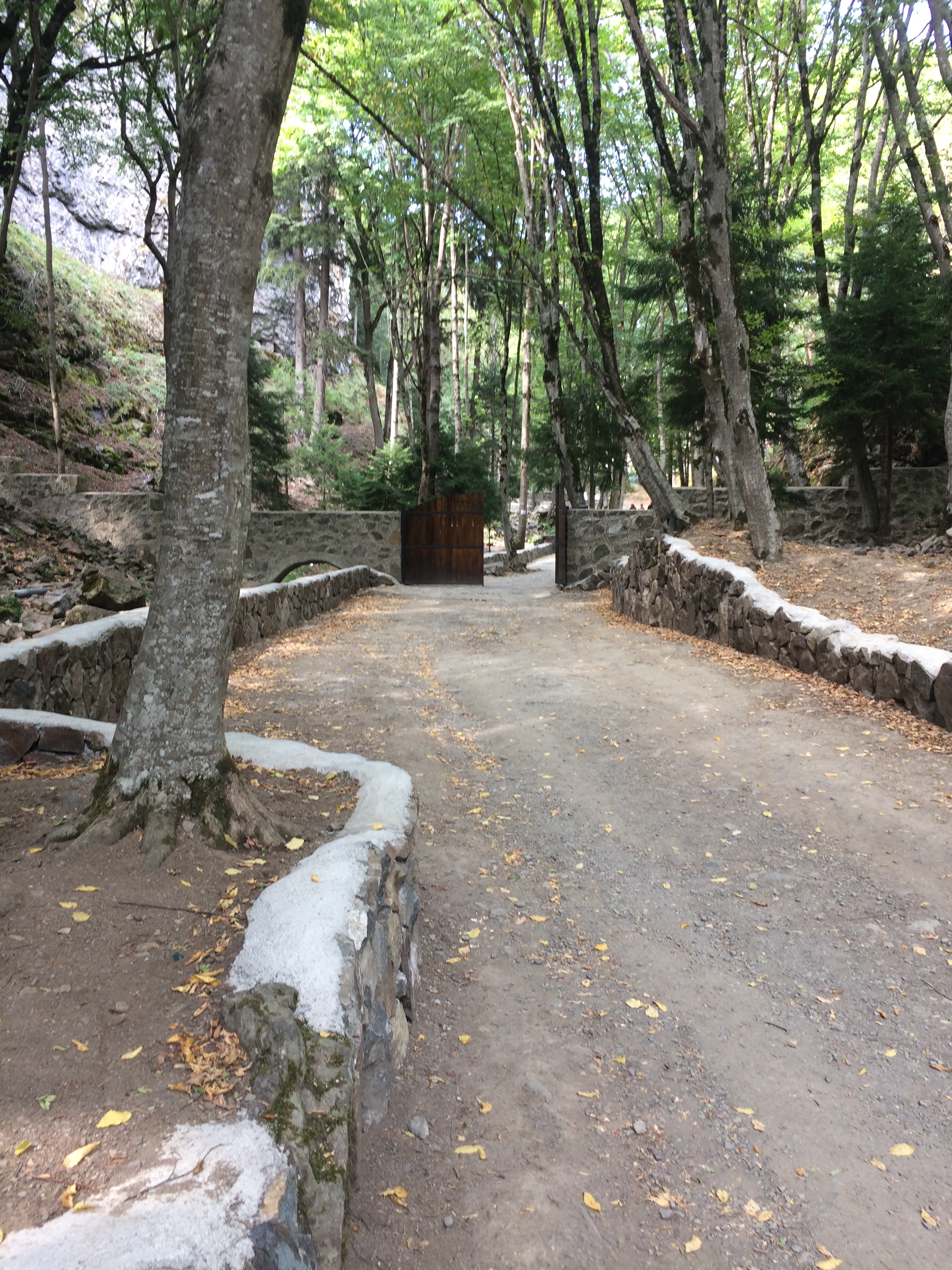 Молю о помощи знатоков Грузии! Пожалуйста, покритикуйте маршрут.