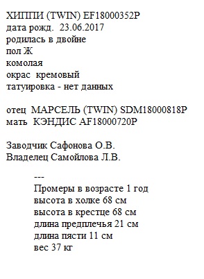 Хиппи анк Ёлечка