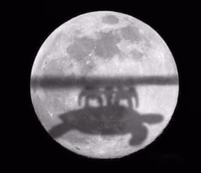 22661872.jpg