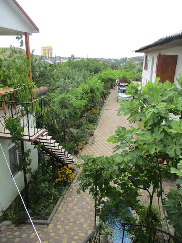 22675199_m.jpg