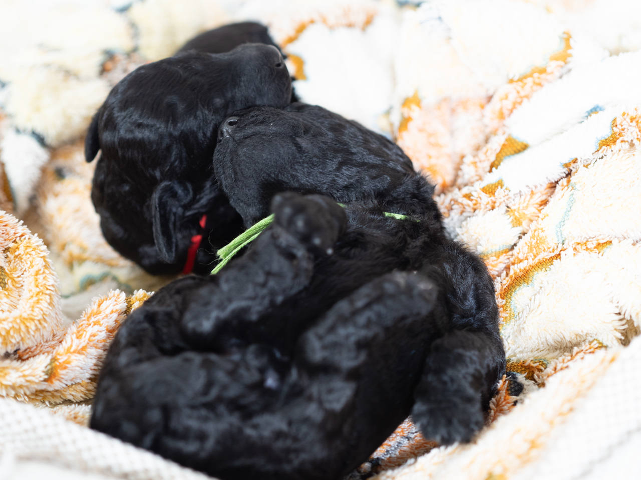 2018-07-24, 19.26.17, 27