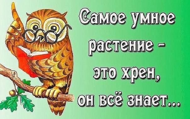 Посмеялся сам - поделись с другом!!!