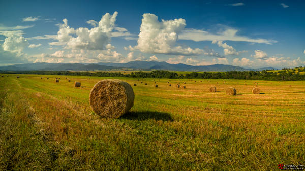 Публикувано изображение