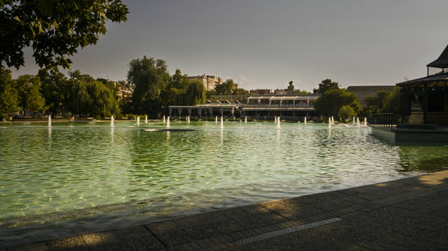 Публикувано изображение