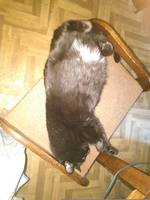 VFL.RU - ваш фотохостинг