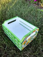 VFL.RU - ваш фотохостинг