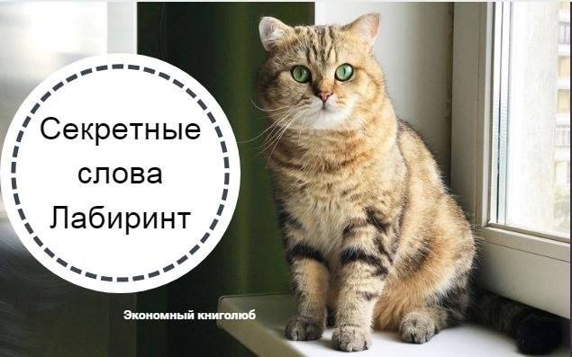 секретные кодовые слова Лабиринт секретные кодовые слова Лабиринт