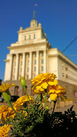 Публикувано изображение