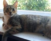 VFL.RU - ваш фотохостинг