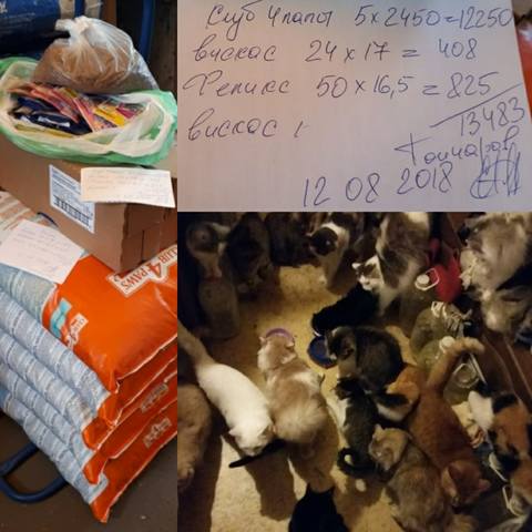 корм от 12.08.18 корм от 12.08.18