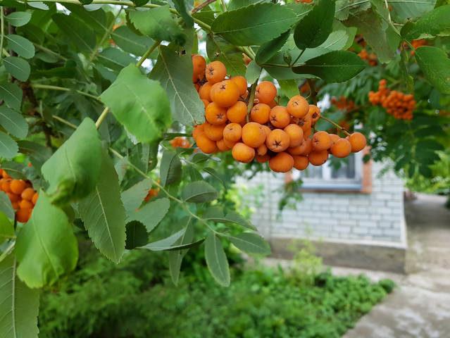 VFL.RU - ваш фотохостинг VFL.RU - ваш фотохостинг