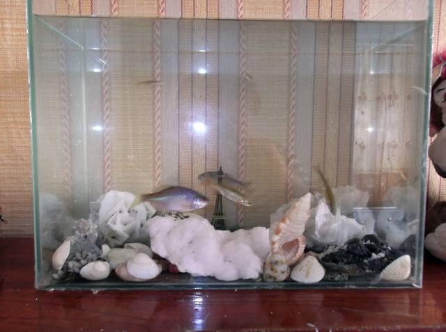 http://images.vfl.ru/ii/1534561022/b798ea03/22935218_m.jpg