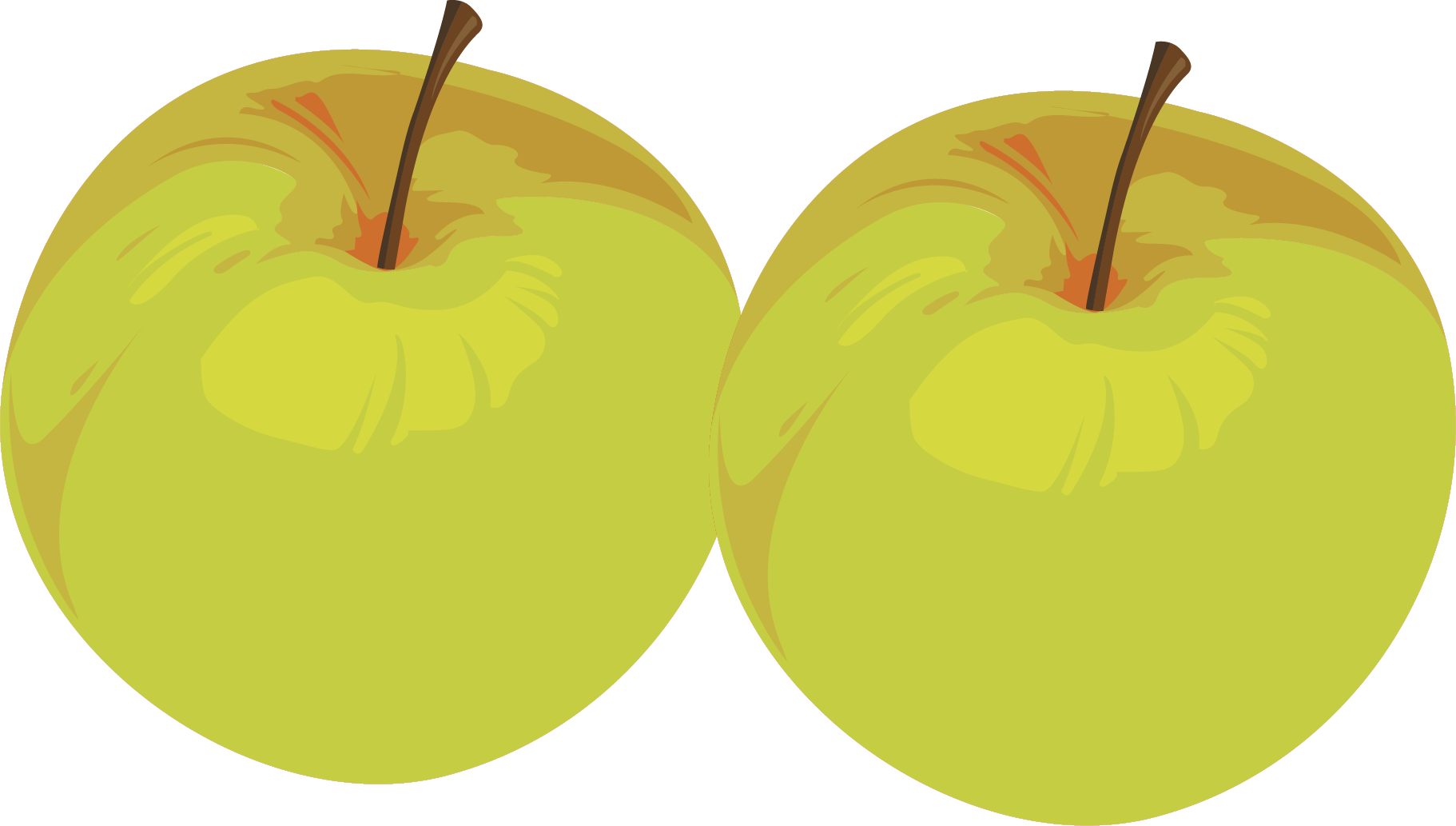 apple-zel (10)