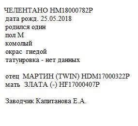 Челентано анк Елена Старожилово