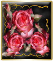 миниатюра-для-роз-на-черном