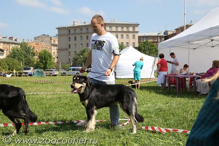 27 Достояние Республики Бурятия Я Замбага 27 (6)