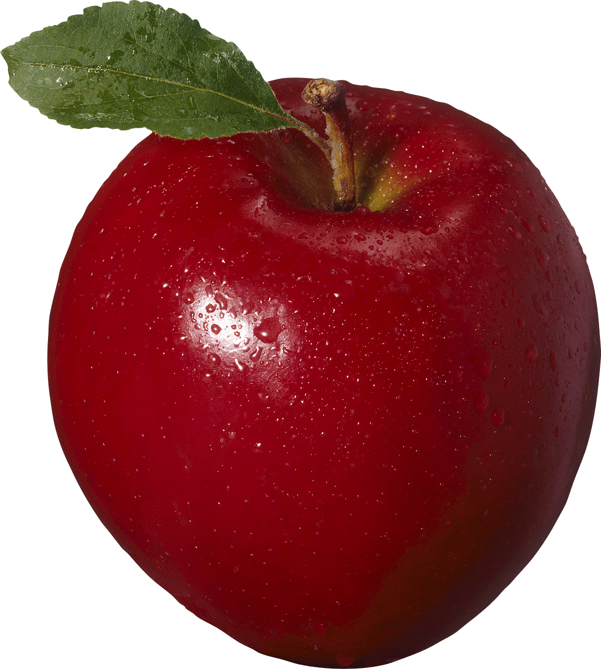 apple-kr (237)