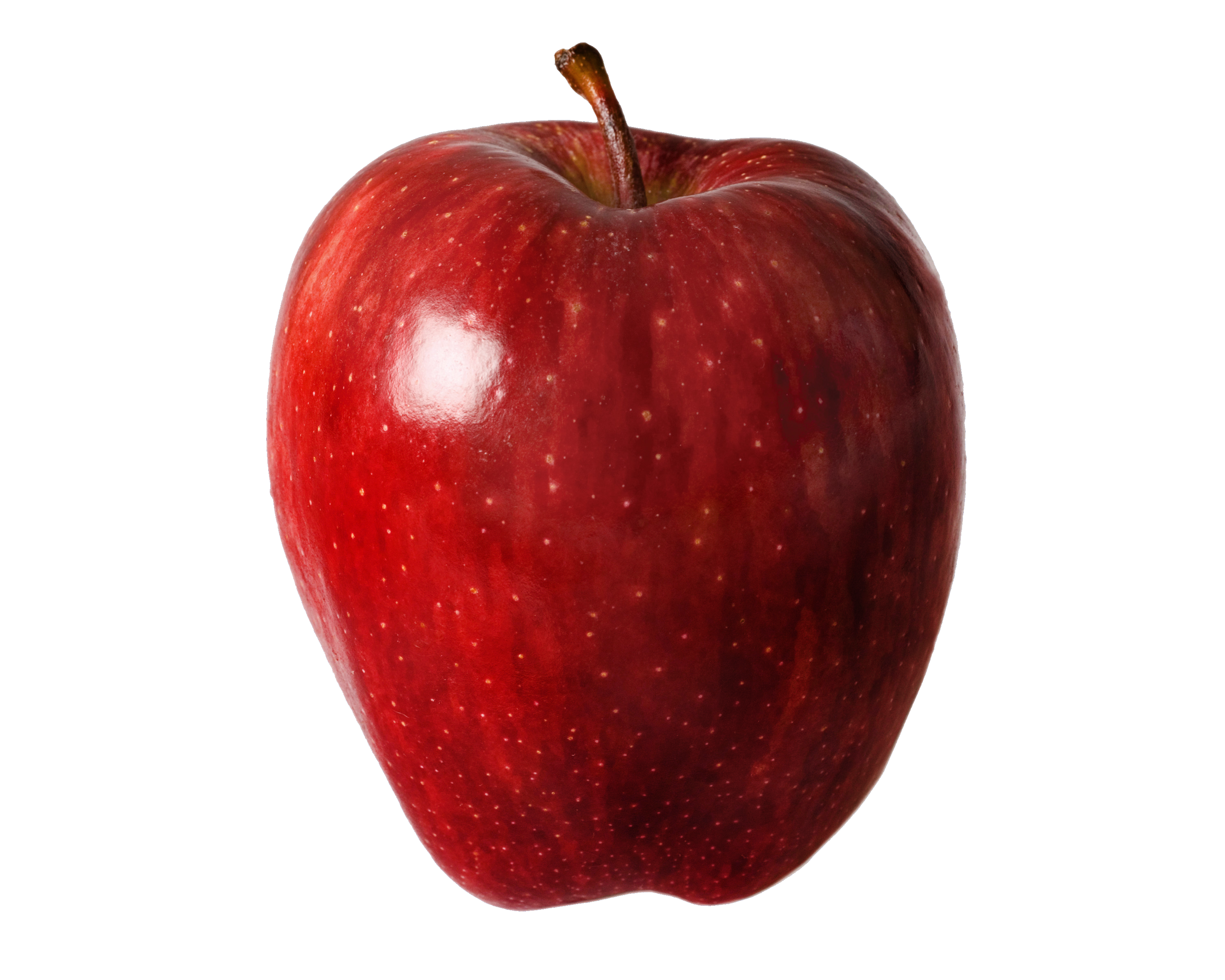 apple-kr (245)
