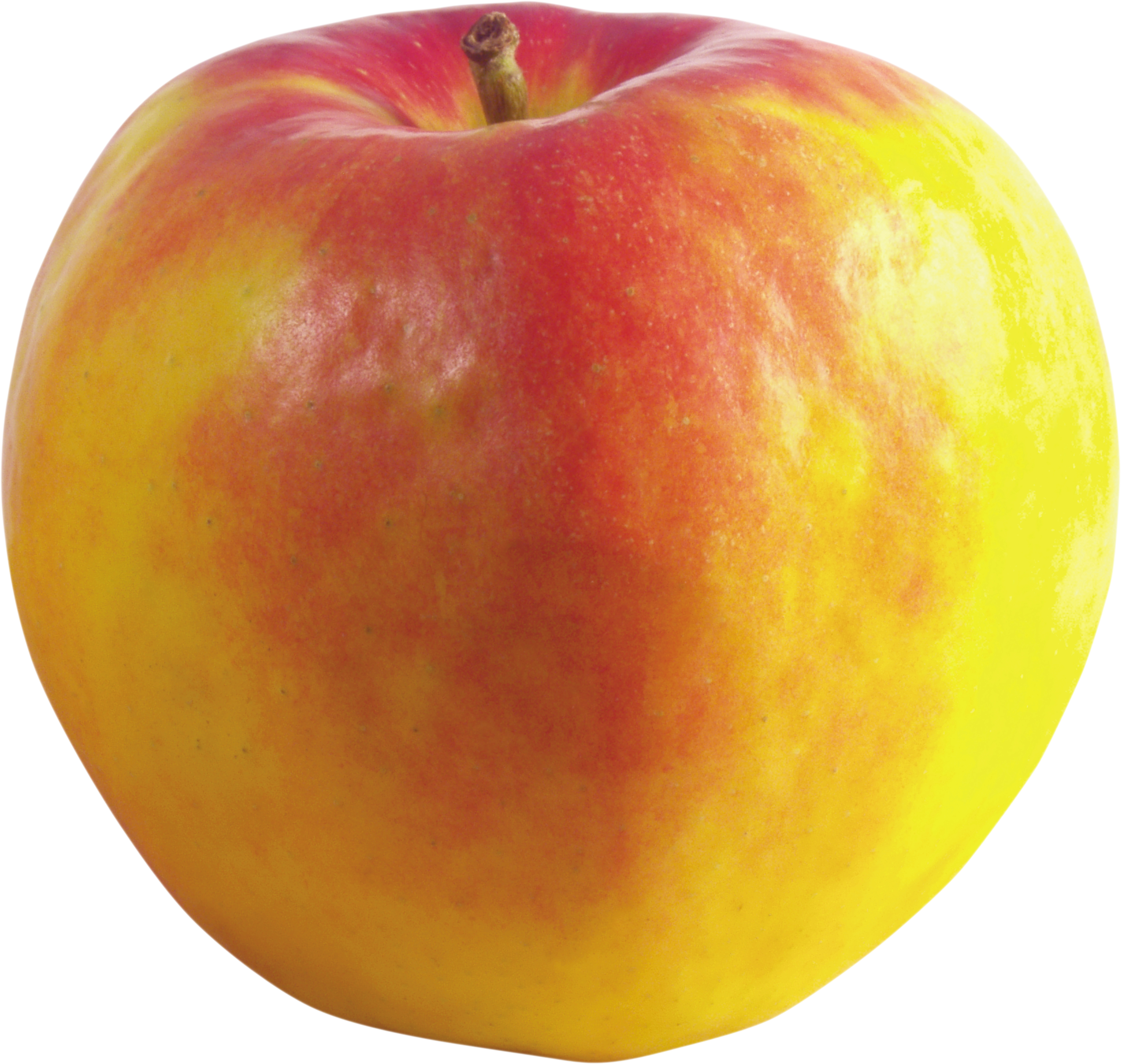 apple (10)