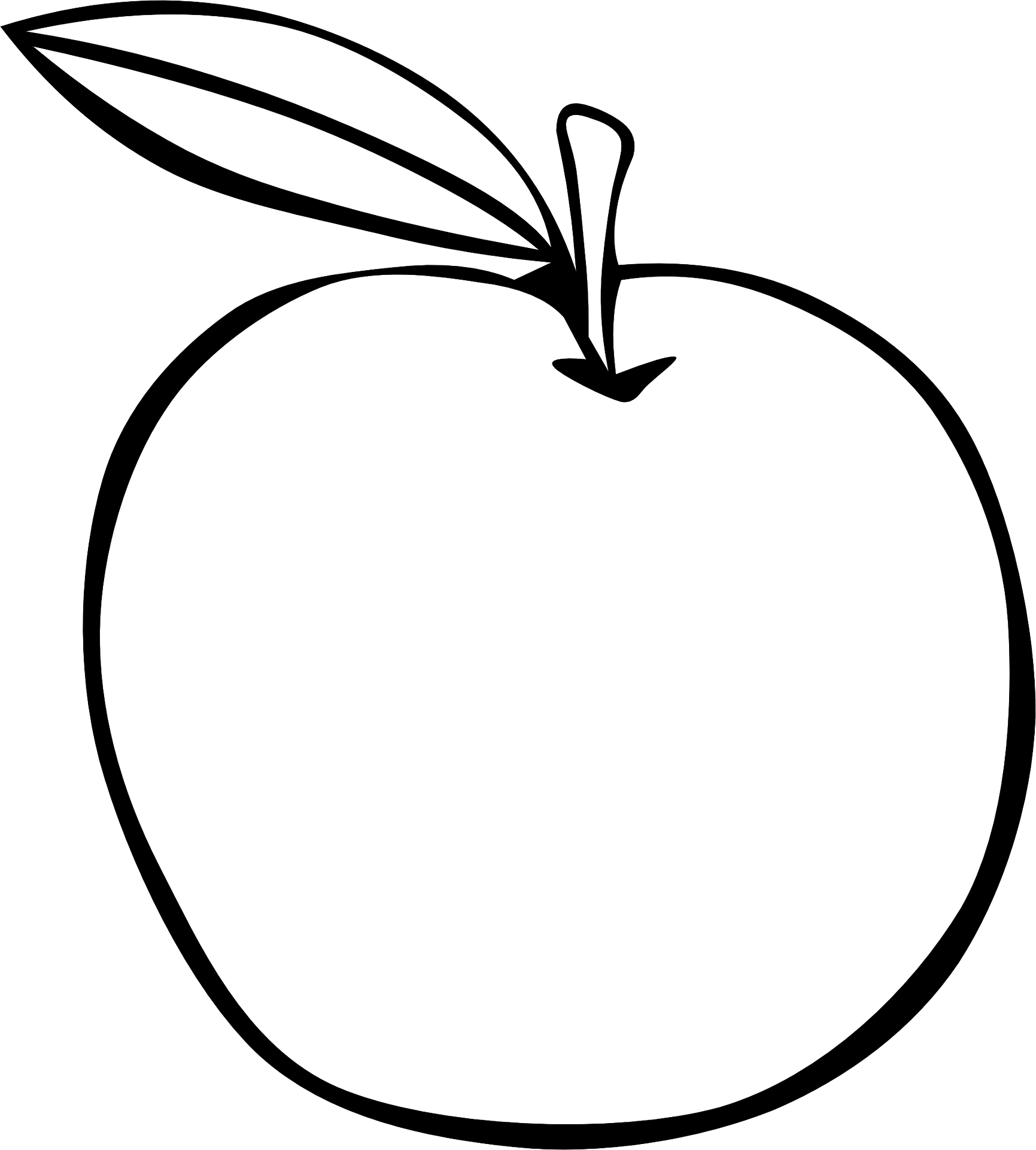 apple (17)