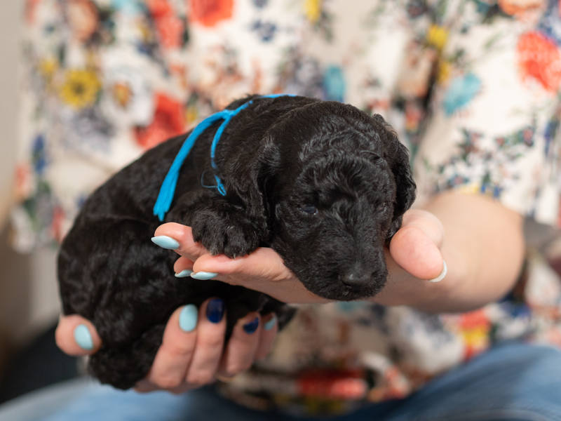 2018-08-02, 22.46.21, 28