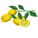 k-lemon (10)