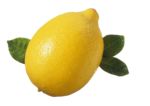 k-lemon (251)
