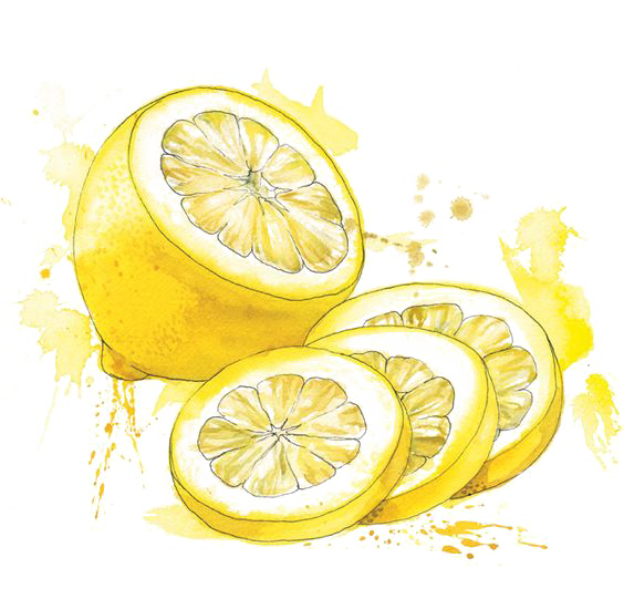 k-lemon (263)