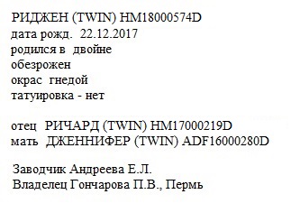 Риджен анк Елена А.