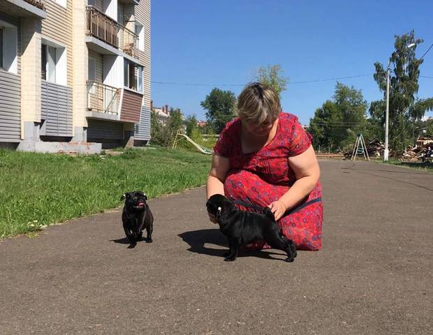 МОПС, щенки, д.р. 18.05.18, пит-к "Масвет Свит-Дрим" г. Братск 23071636_m