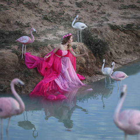 Мари и фламинго
