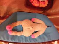 VFL.RU - ваш фотохостинг