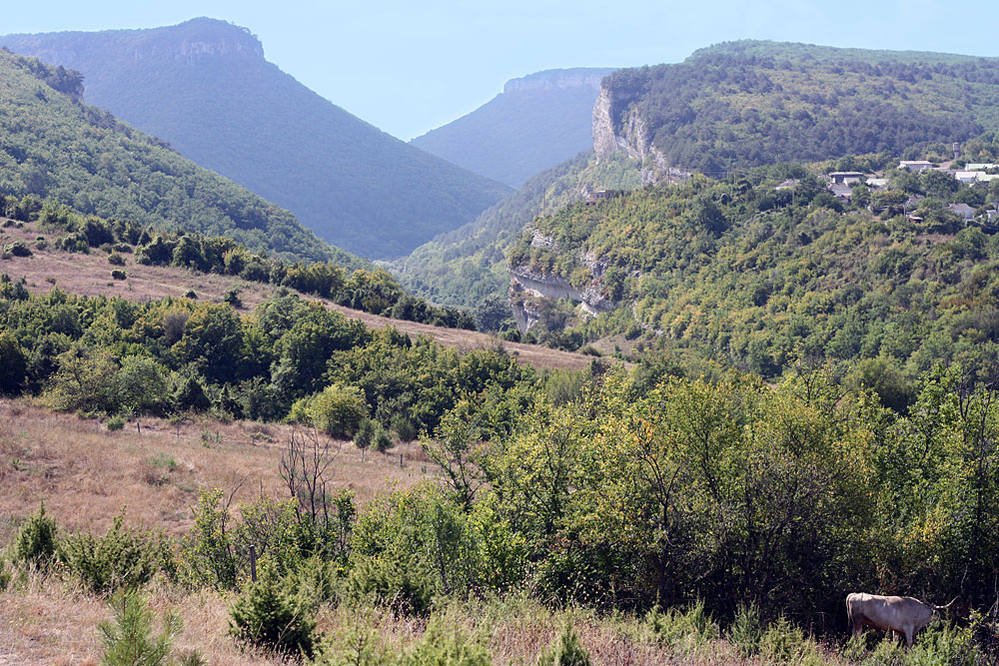 VFL.RU - ваш фотохостинг VFL.RU - ваш фотохостинг