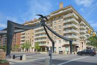 Орёл -одна из эмблем мормонов. Фото Морошкина В.В.