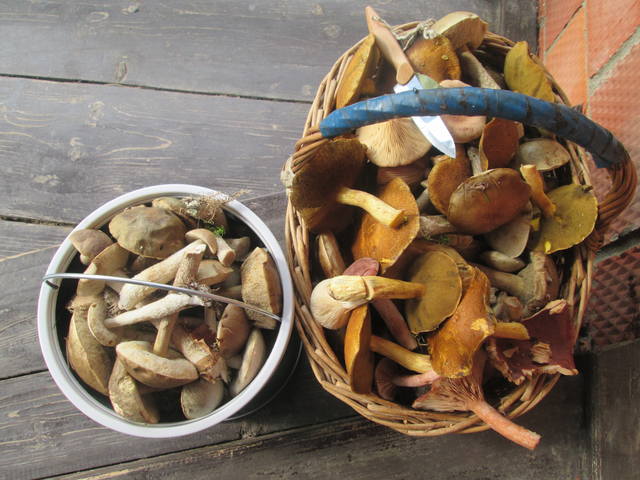 Кафе "У пани Сони"